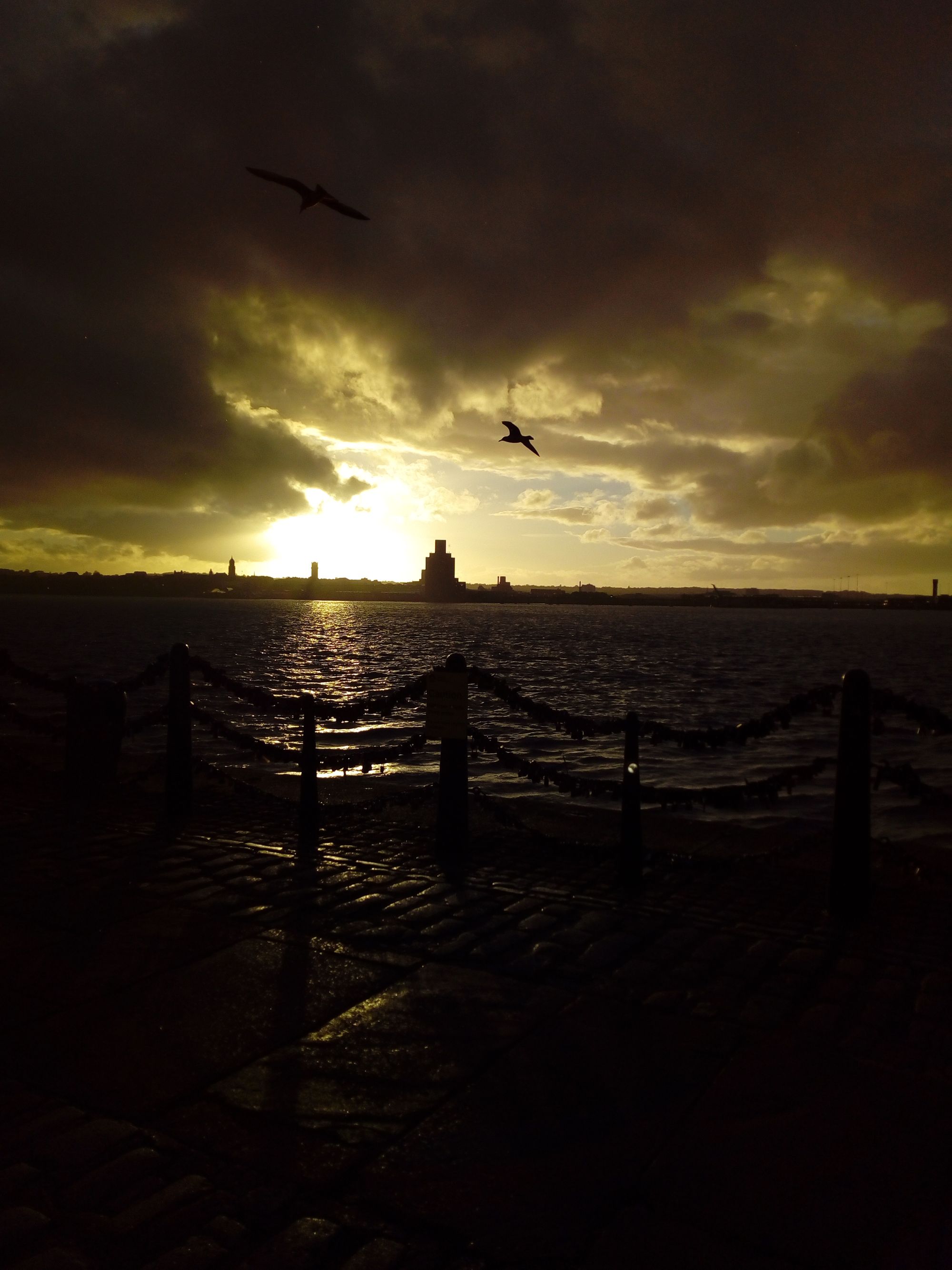 Lane's Lens - Feb 25: A look across Merseyside through the cameras of local photographers