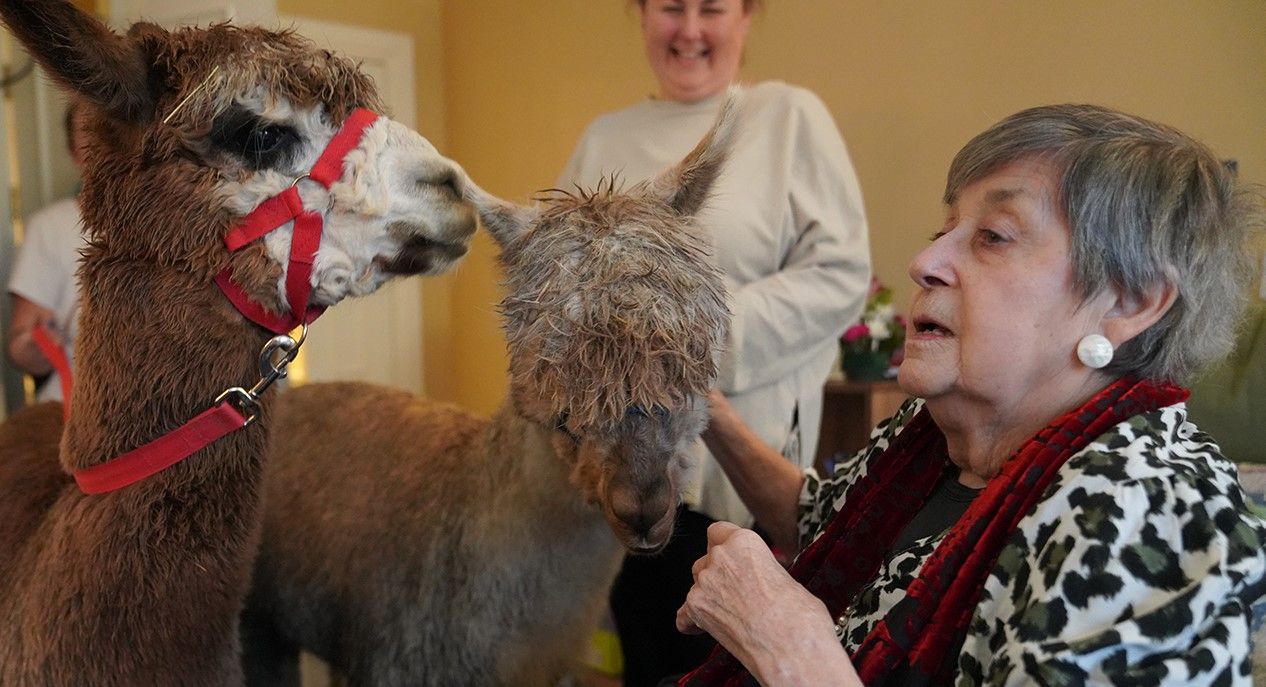 Adorable four-legged visitors bring joy to Surbiton veterans