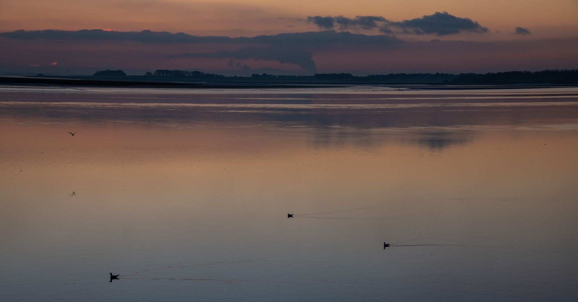 Scene By You in Runcorn and Widnes: January 26, 2023