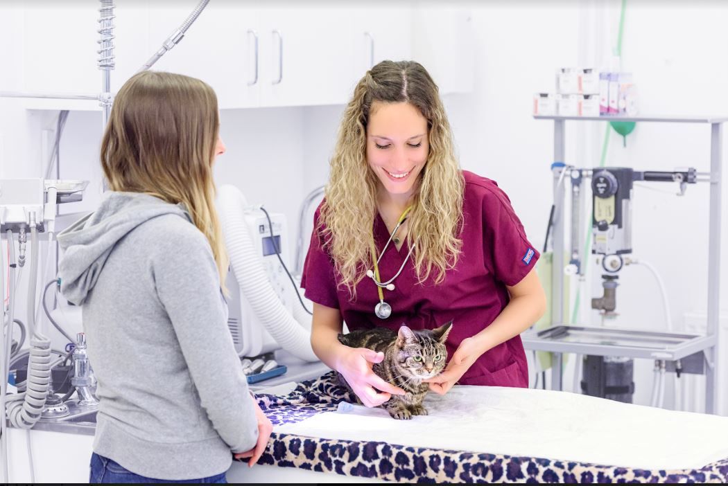New vets practice prepares to open its doors in Woodley