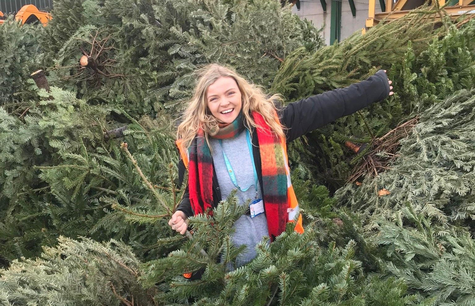 Christmas tree recycling kick-starts hospice's 2023 fundraising