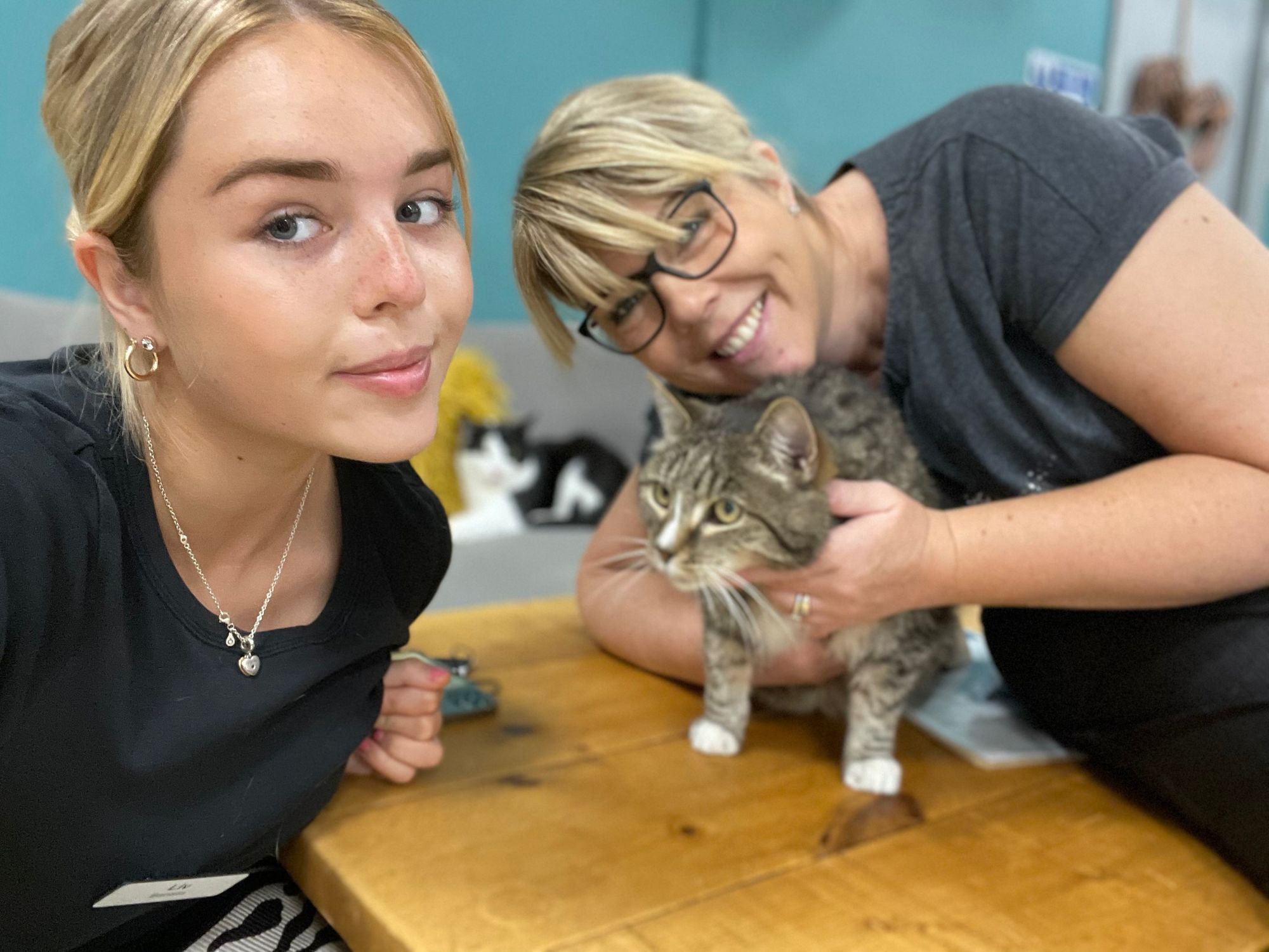Group from Stone to climb Snowdon for cats
