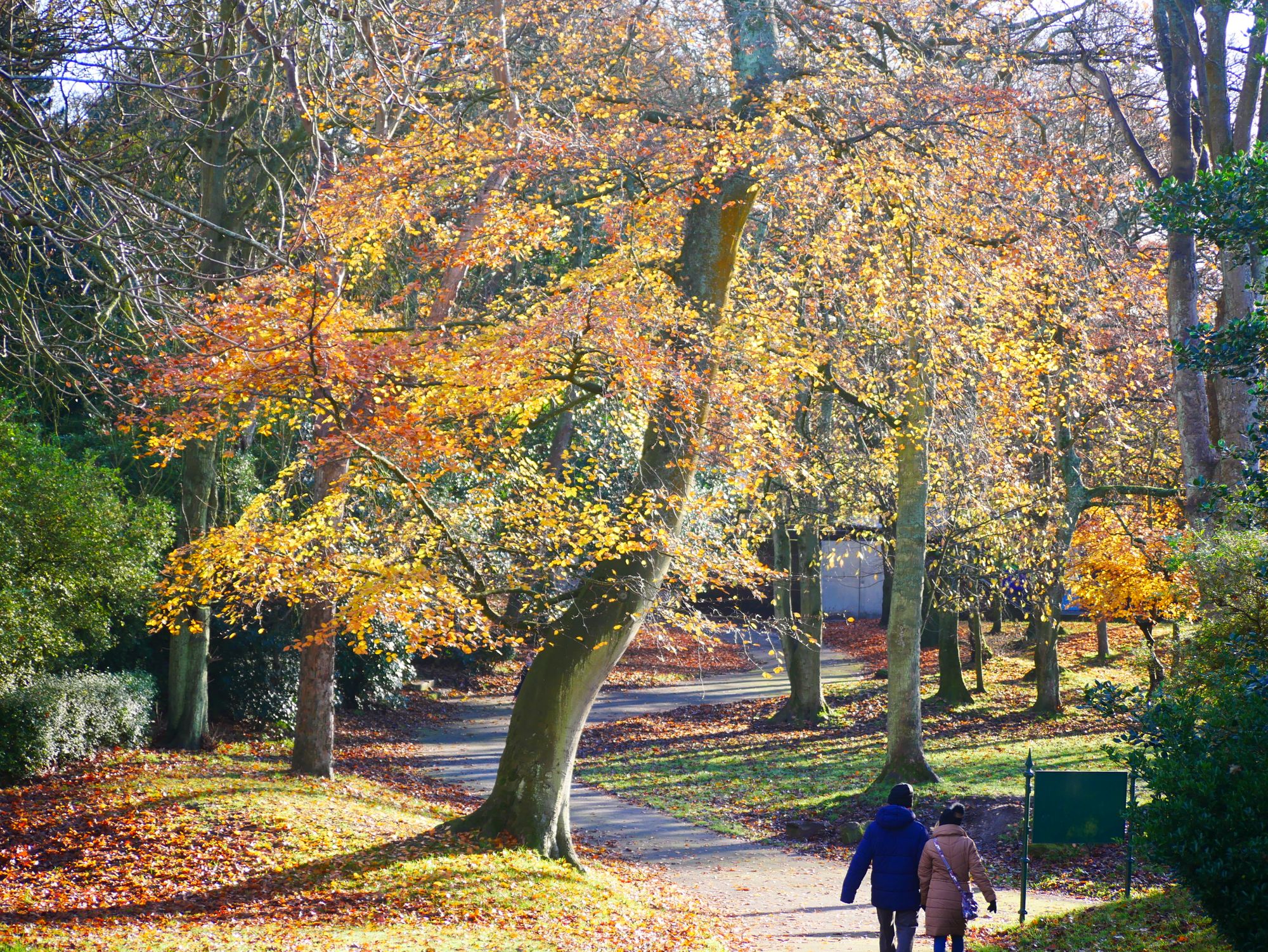 Scene By You Ormskirk - Feb 2: Pictures of West Lancashire captured by local photographers