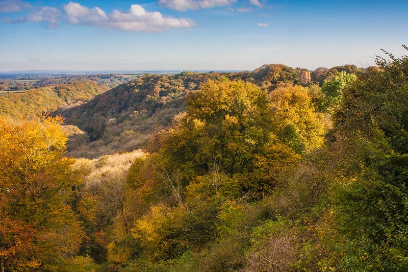 Woodland Trust offers young people chance to win funding for environmental projects