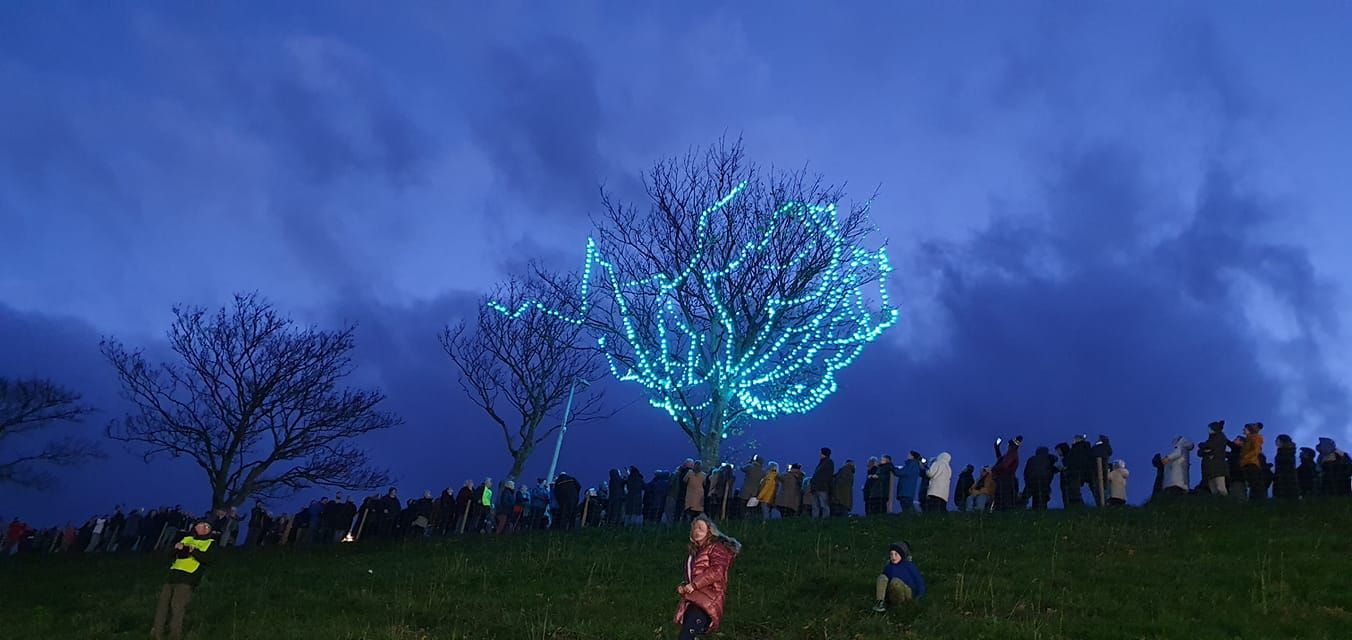 St David's Hospice: Tree of Lights raise over £386,000