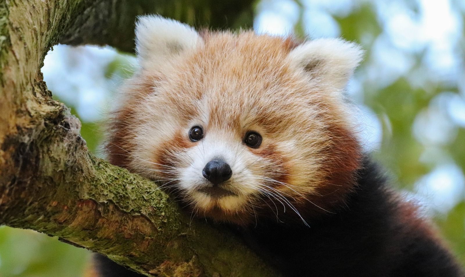 Zoo calls on government to unlock Brexit barriers to conservation