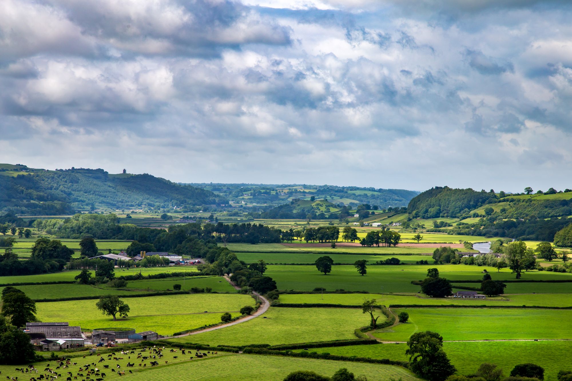 Concerns raised over energy firm’s pylon plans for Towy Valley
