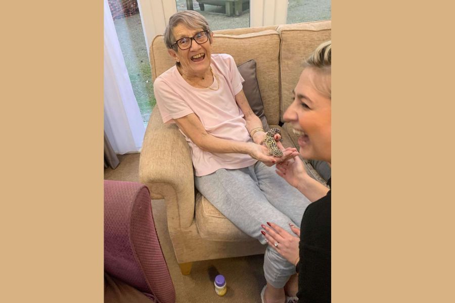 Geckos, snakes and gerbils visit Broadstone care home