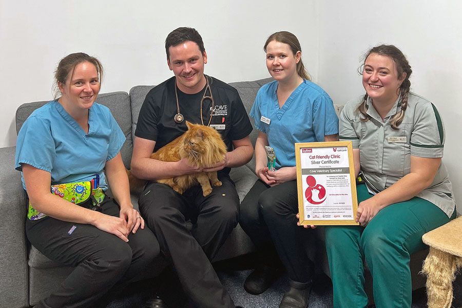 Wellington Veterinary Specialists recognised as a silver level cat-friendly clinic