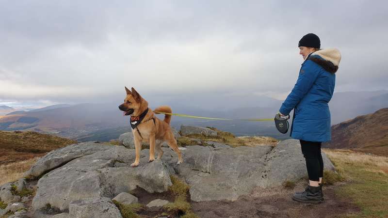 Pet owners urged to help keep wildlife and livestock safe this spring