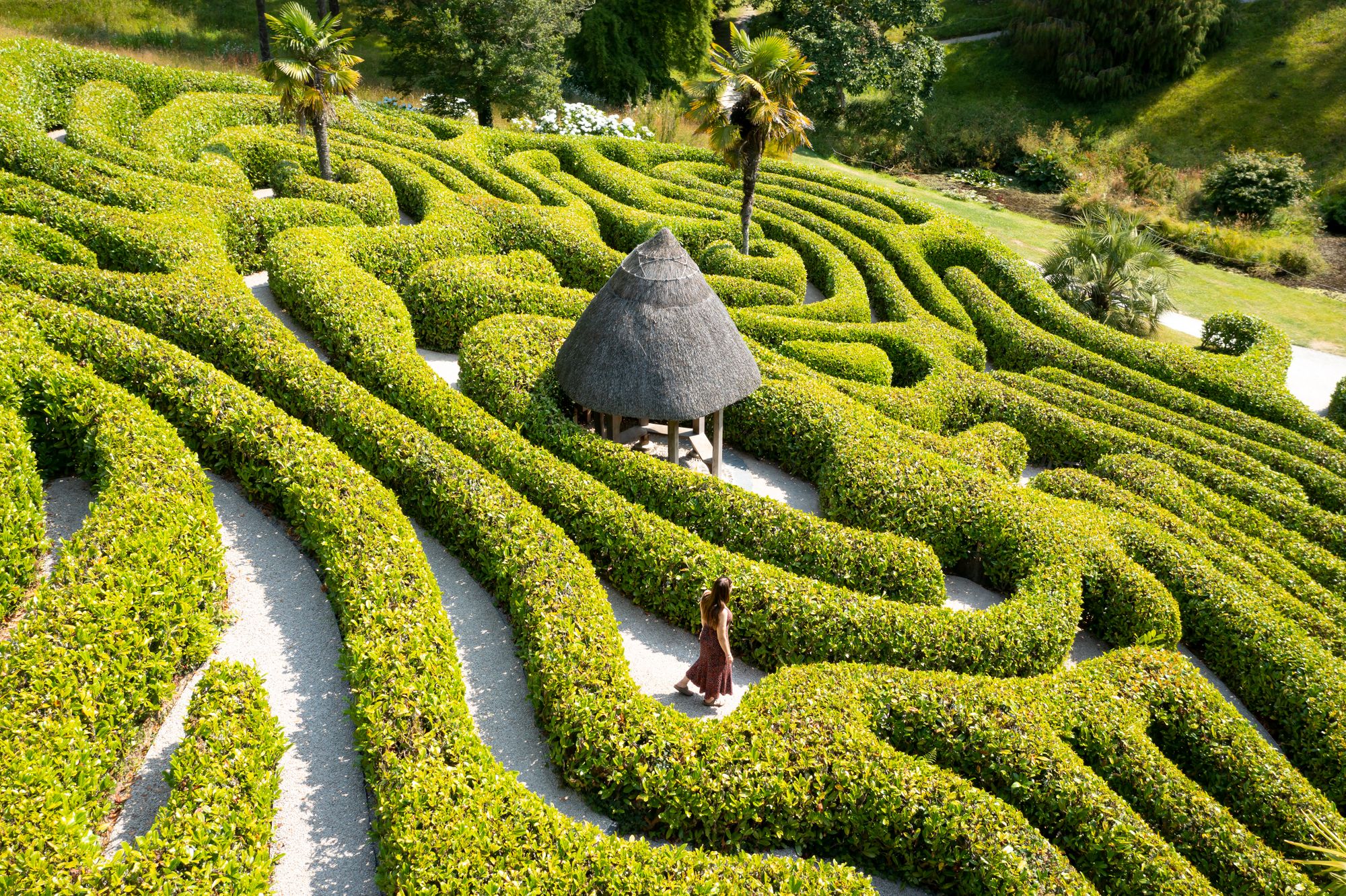 Explore all the National Trust has to offer with our free family day pass