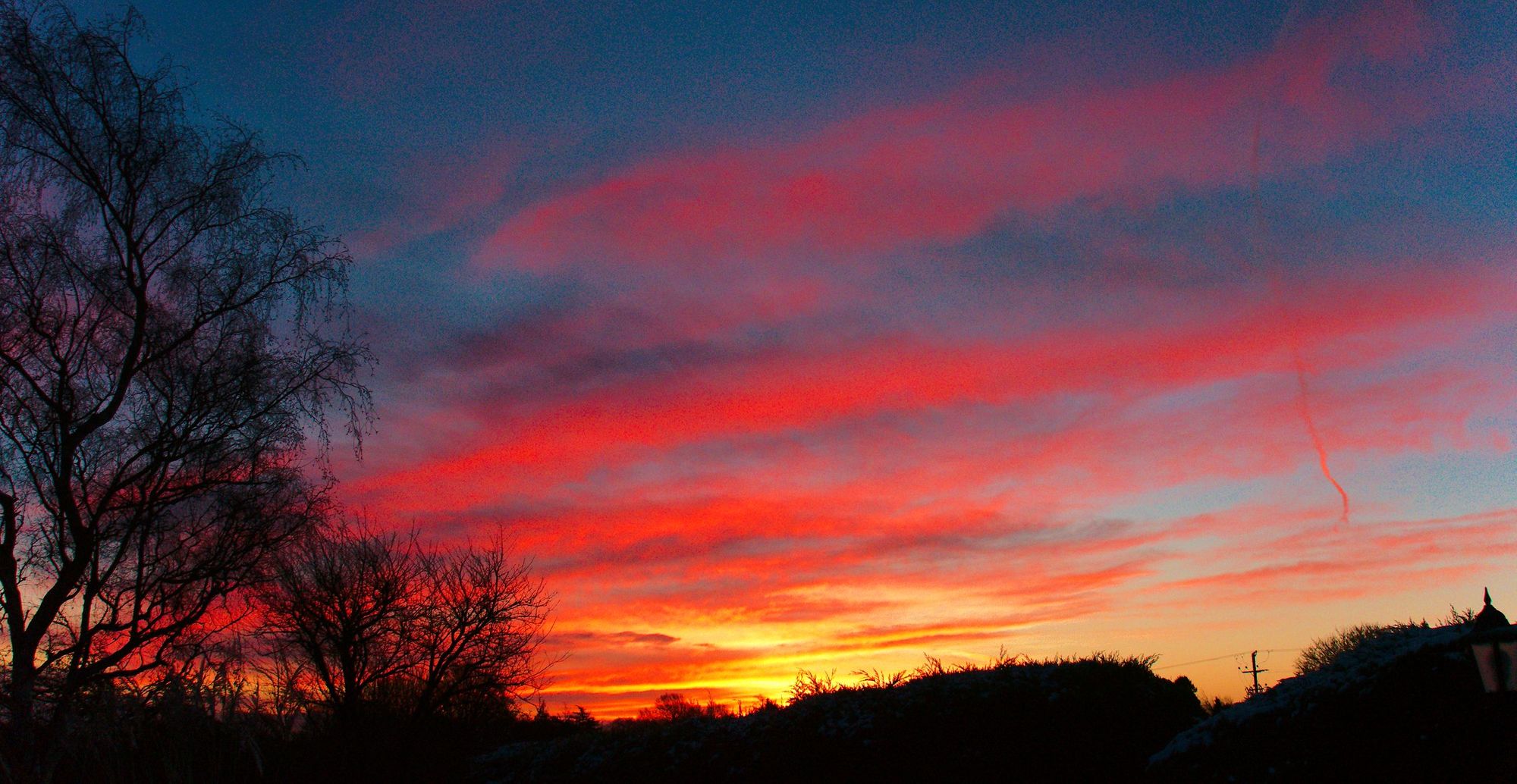 Scene By You Crewe: Nature and scenic views in the spotlight