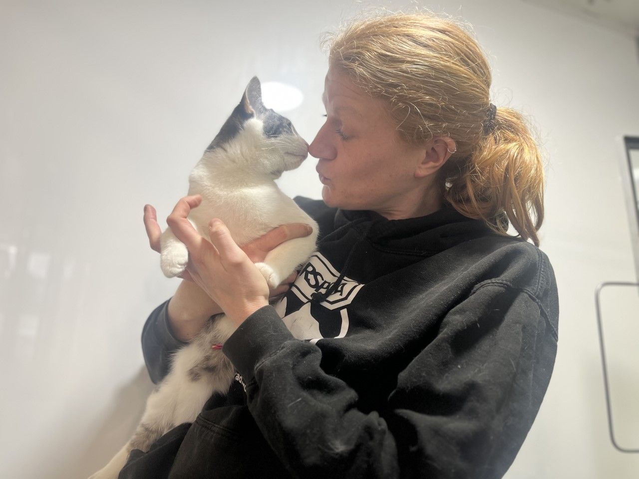 Get a message from your Valentail at RSPCA Halifax, Huddersfield and Bradford