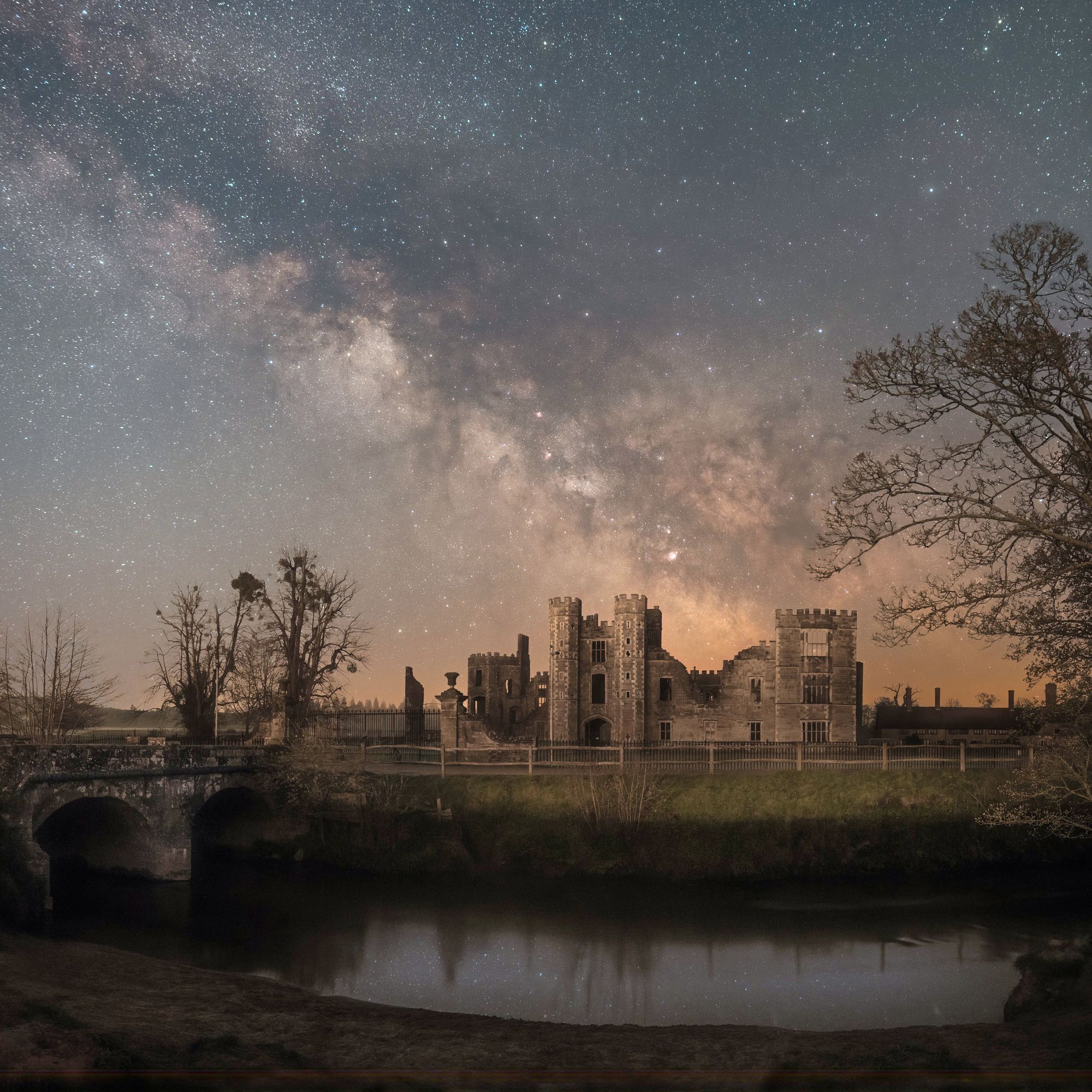 'Hauntingly beautiful' photograph wins competition