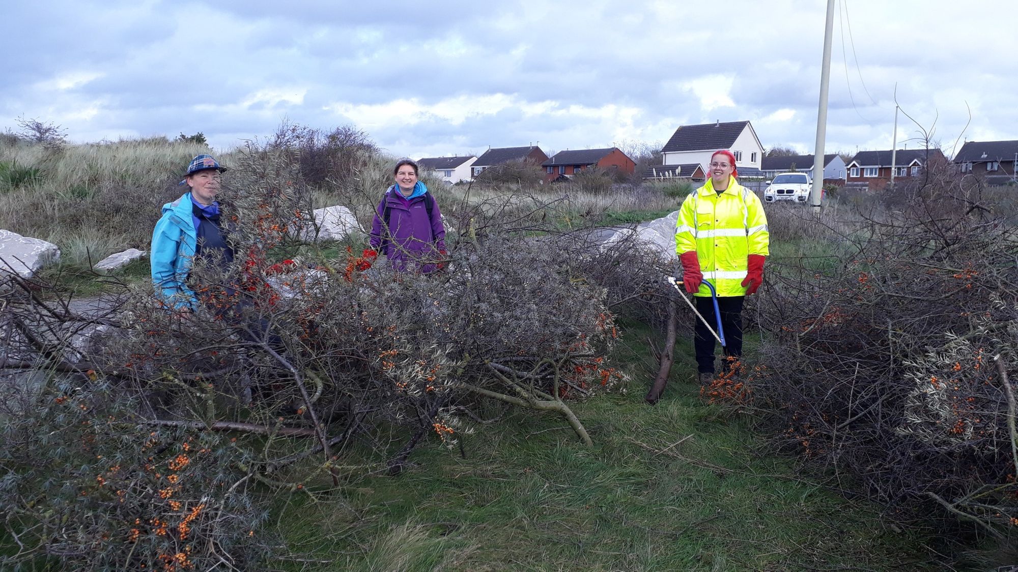 The Sefton Coast with John Dempsey: Clearing scrub from Crosby to Southport