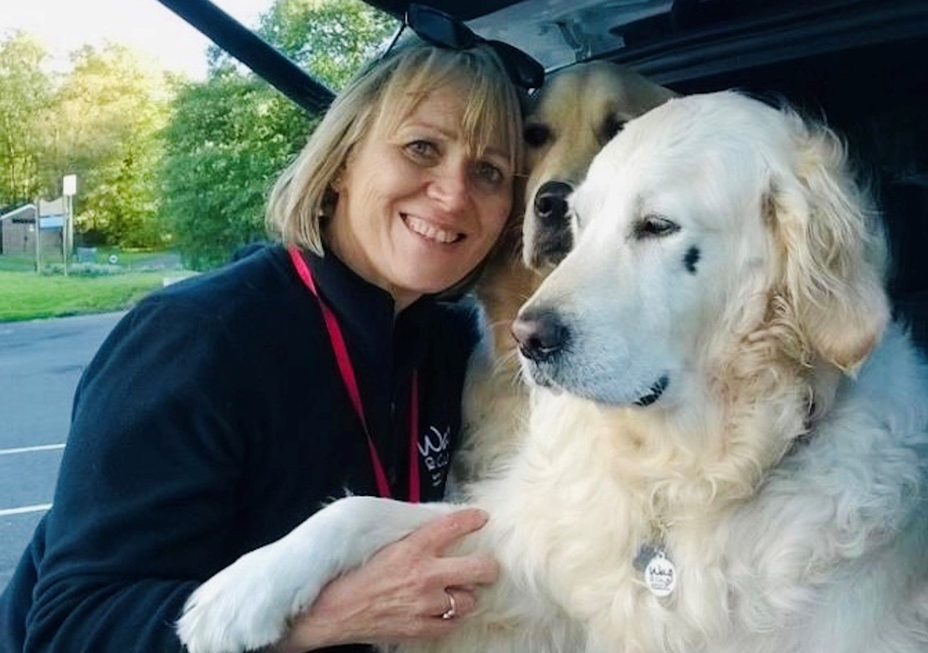 Dog owners needed for befriending service in North East