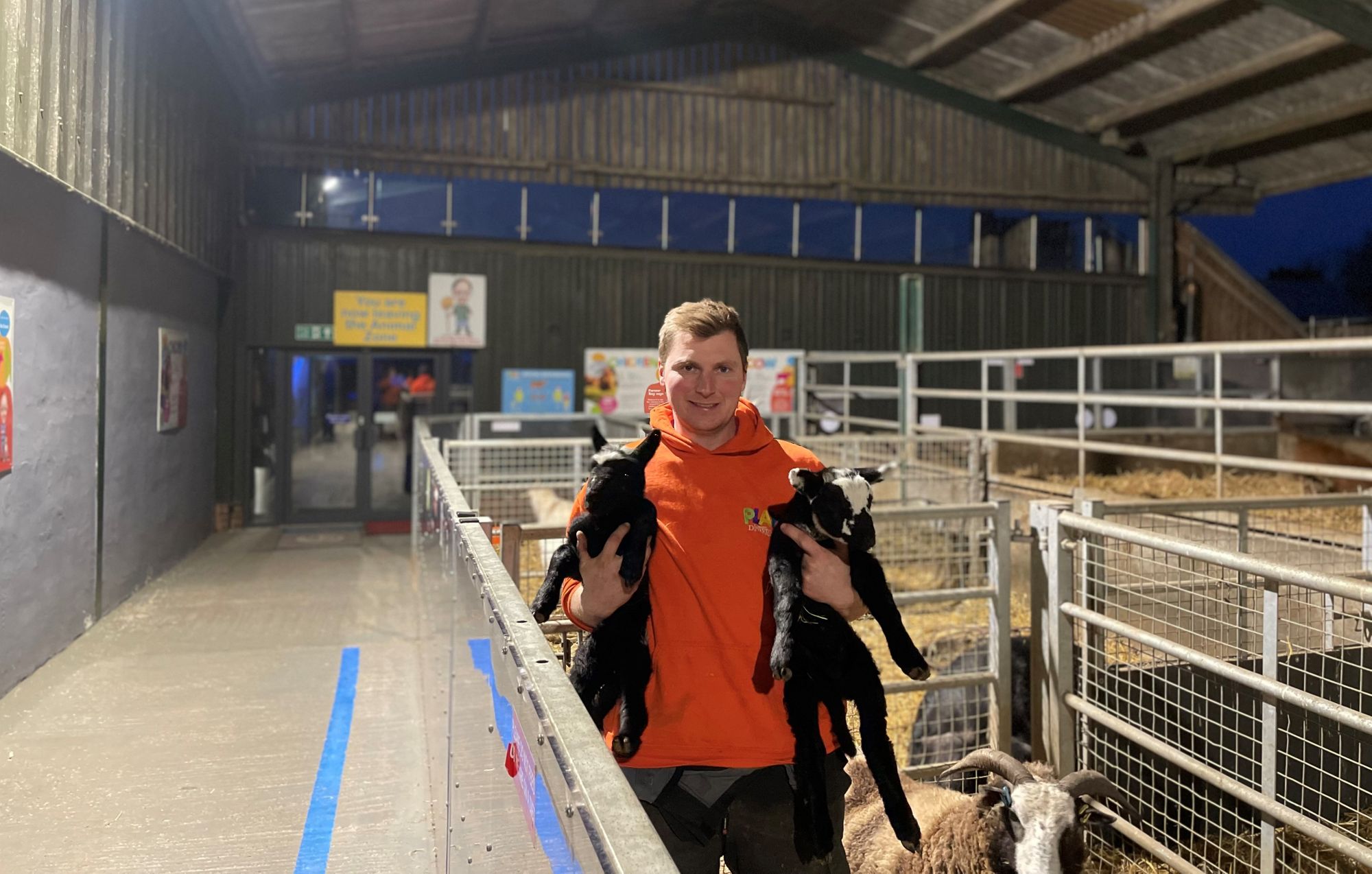 Learn all about lambs this half term at Penkridge farm InYourArea News