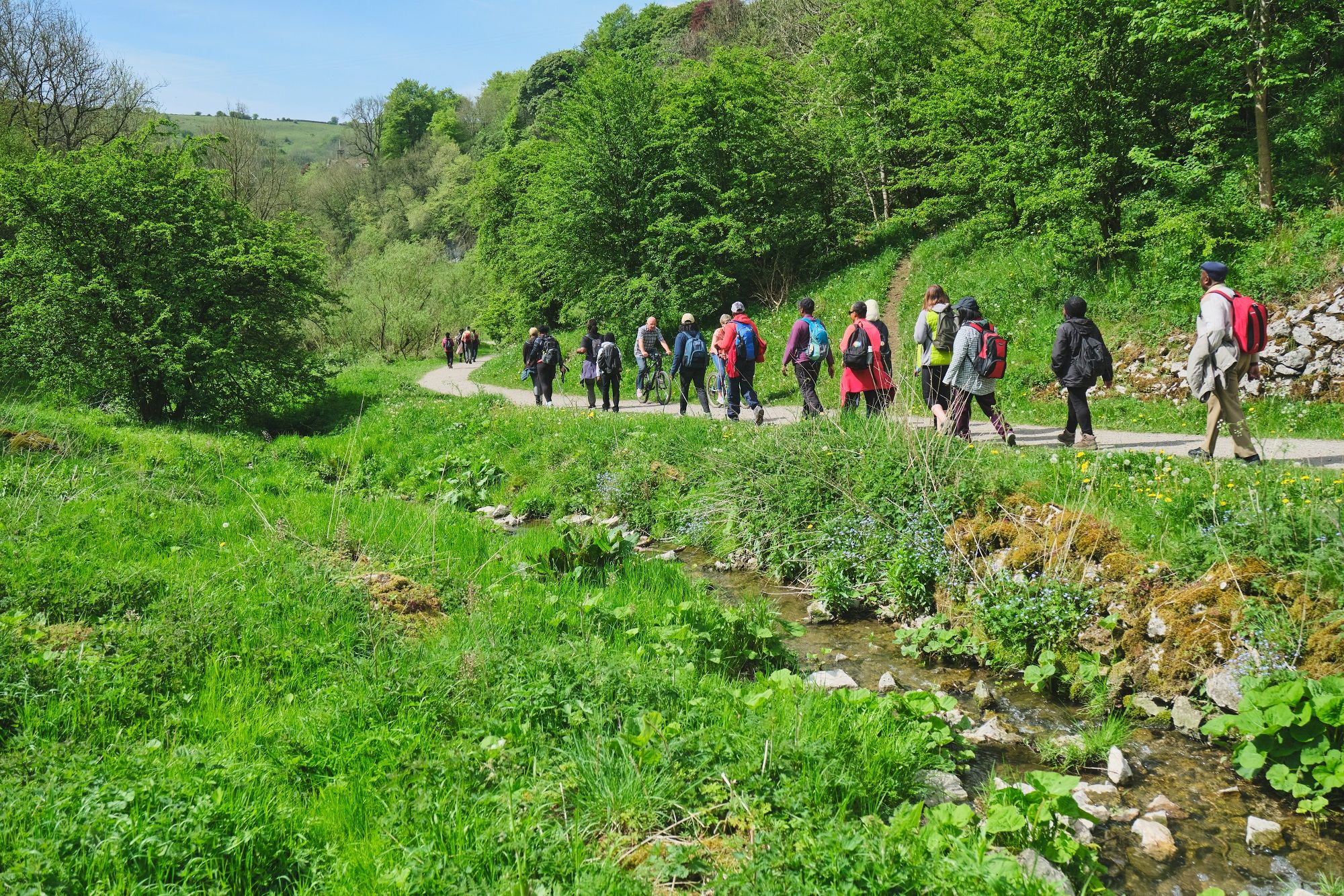 Peak District Mosaic invite people to check out exciting trustee opportunities