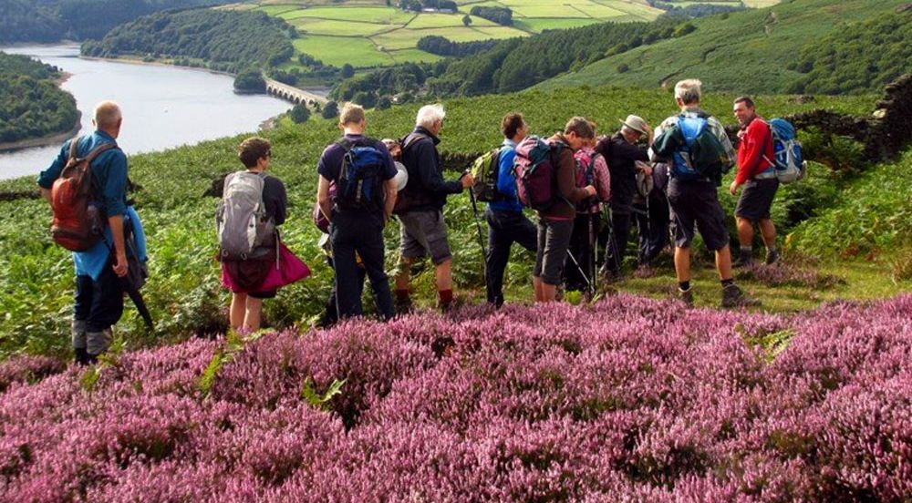 Peak District: Families invited to guided walks with National Park rangers