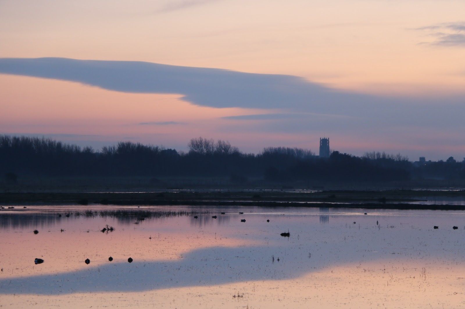 RSPB Marshside launches campaign to repair vandalised hide
