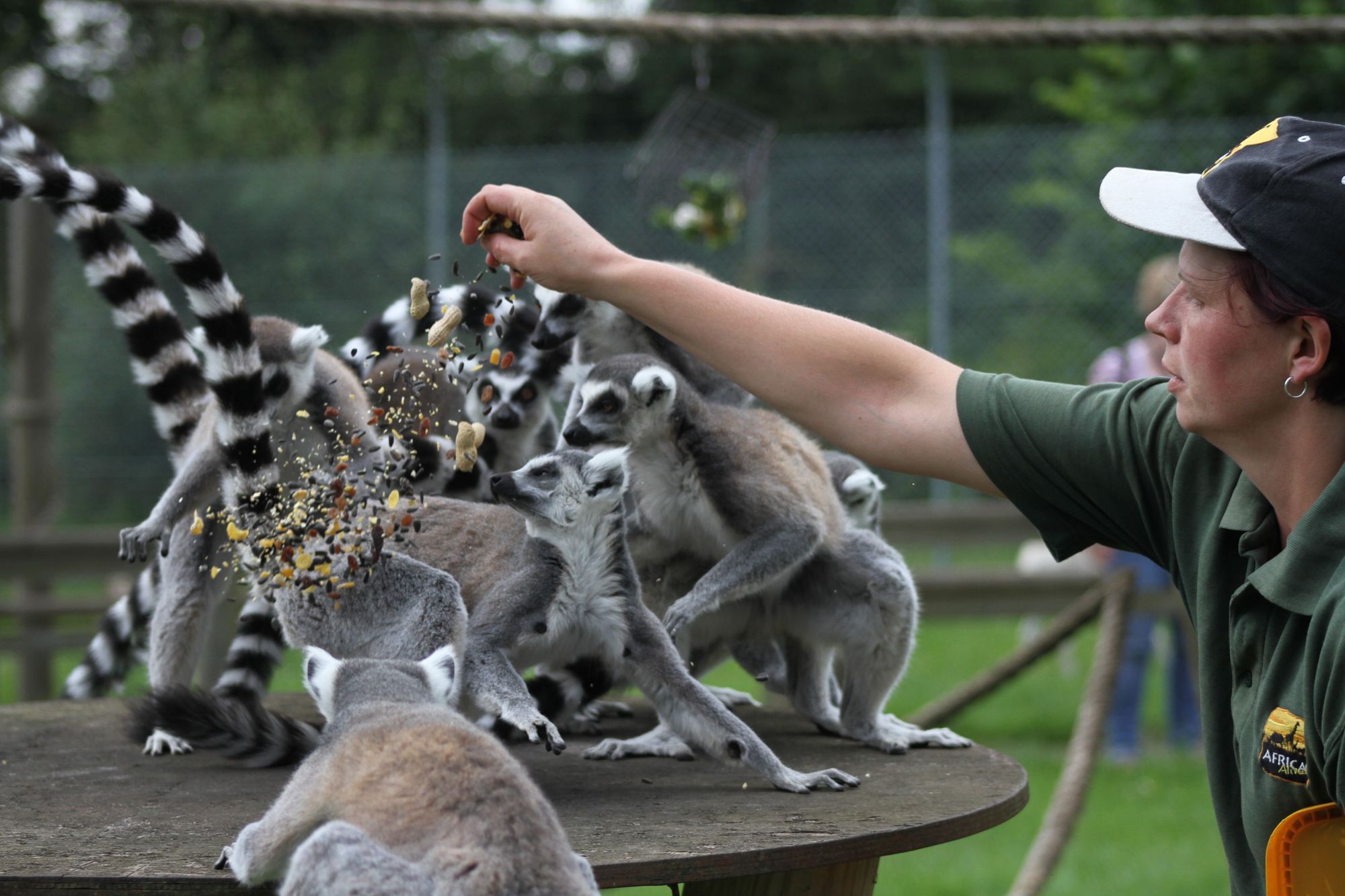 Zoological Society of East Anglia offers free entry and discounted tickets for under 15s