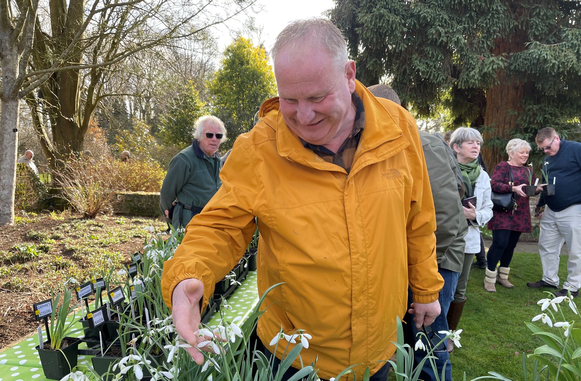 Rare snowdrops attract hundreds to Great Comp Garden