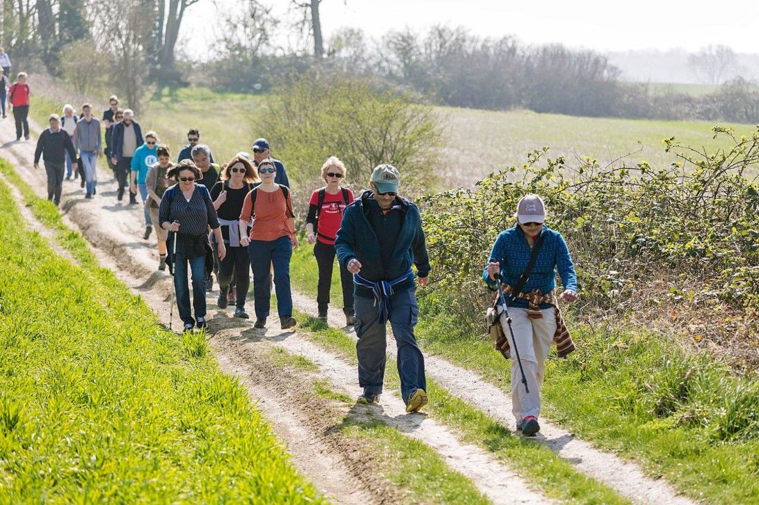 Explore the countryside with Heart of Kent Walking Festival
