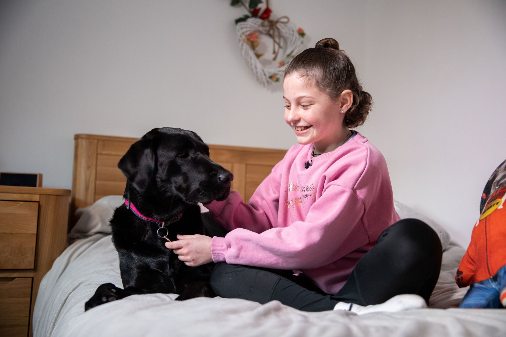 Life-changing Swansea dog named as finalist in Crufts Hero Awards