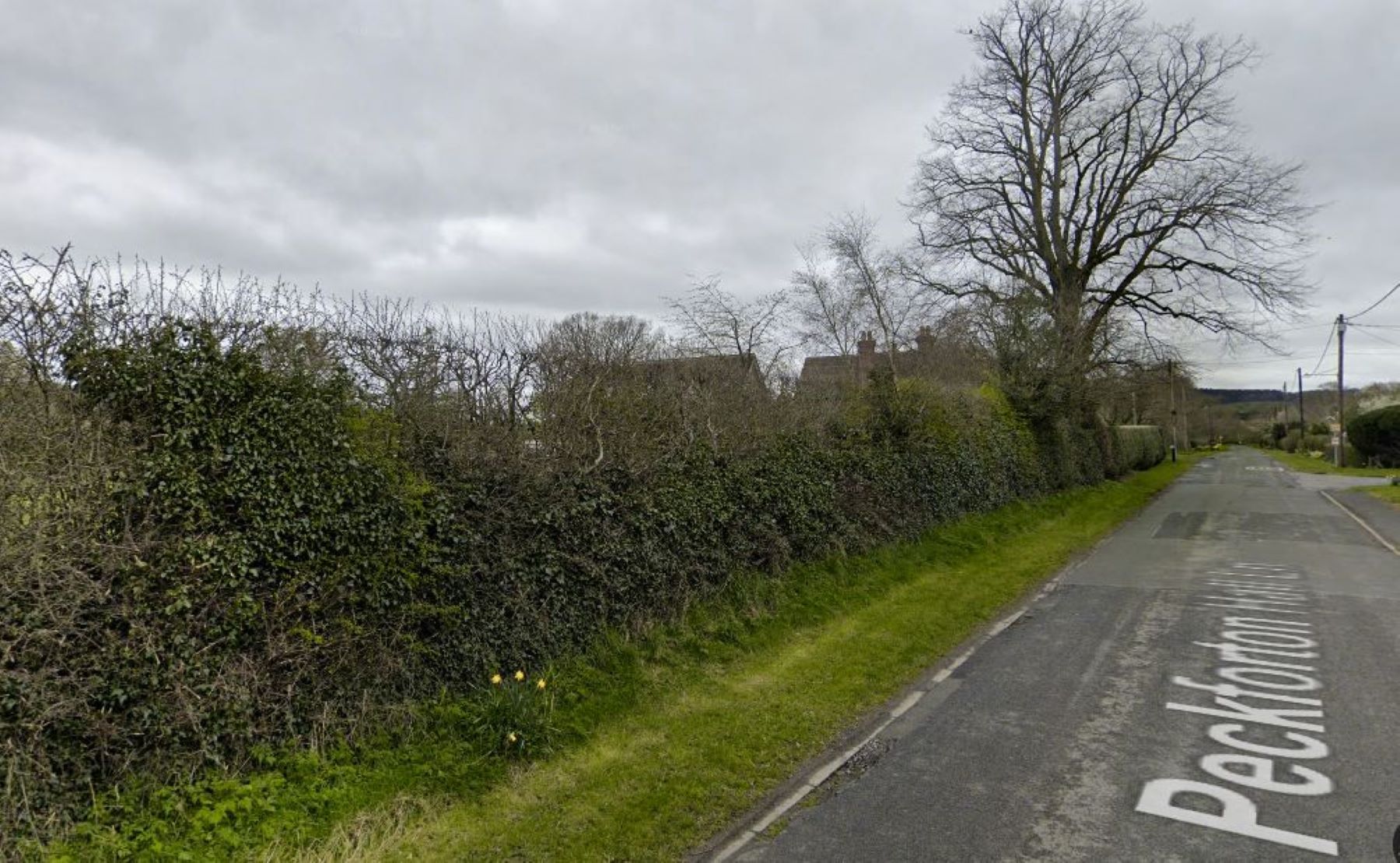 Detached dwellings in Spurstow rejected again
