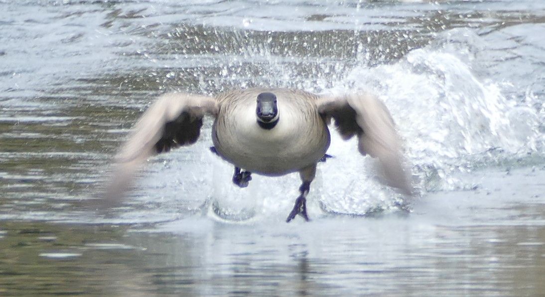 Scene By You Ormskirk - March 2: Pictures of West Lancashire captured by local photographers