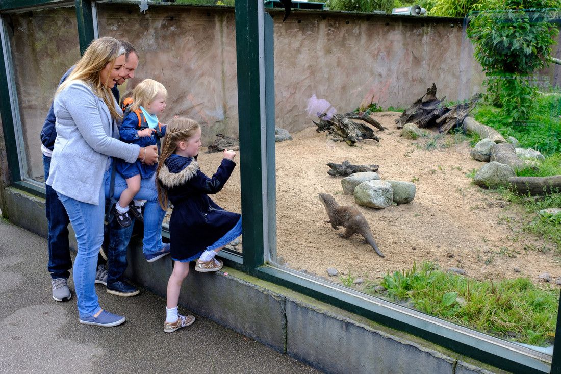 Free entry to Martin Mere for children during teacher strike