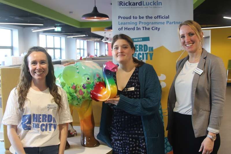 Herd in the City set to storm Southend this summer