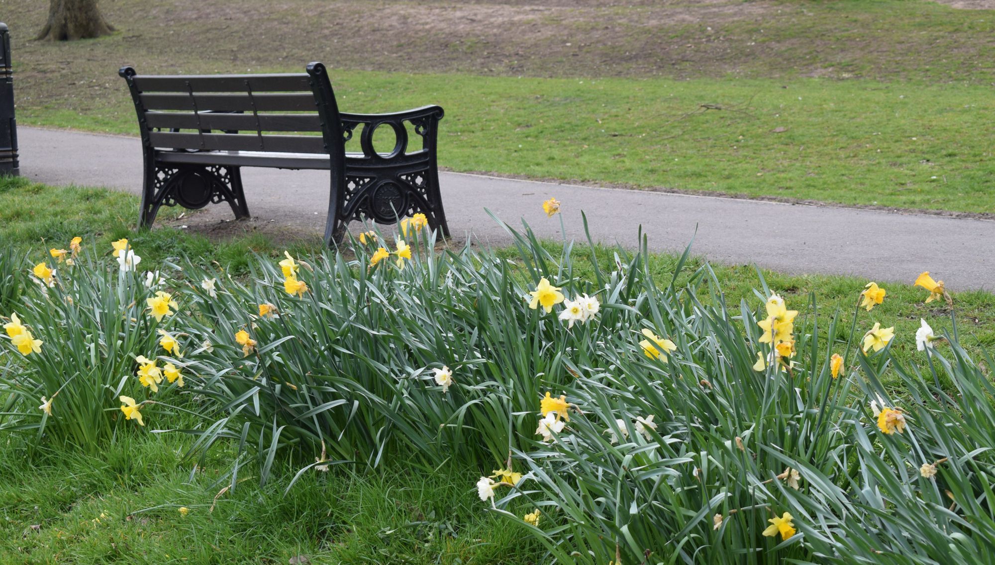 Hinckley gardening group seeks local volunteers to maintain Hollycroft Park