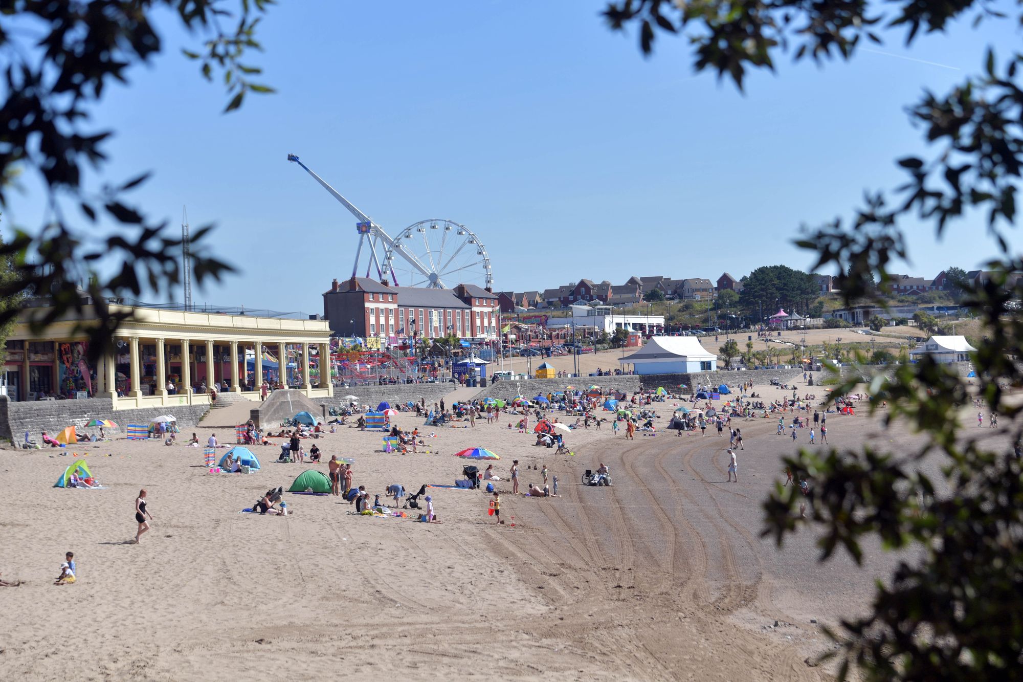 Join the Calon Hearts Bunny Run at Barry Island