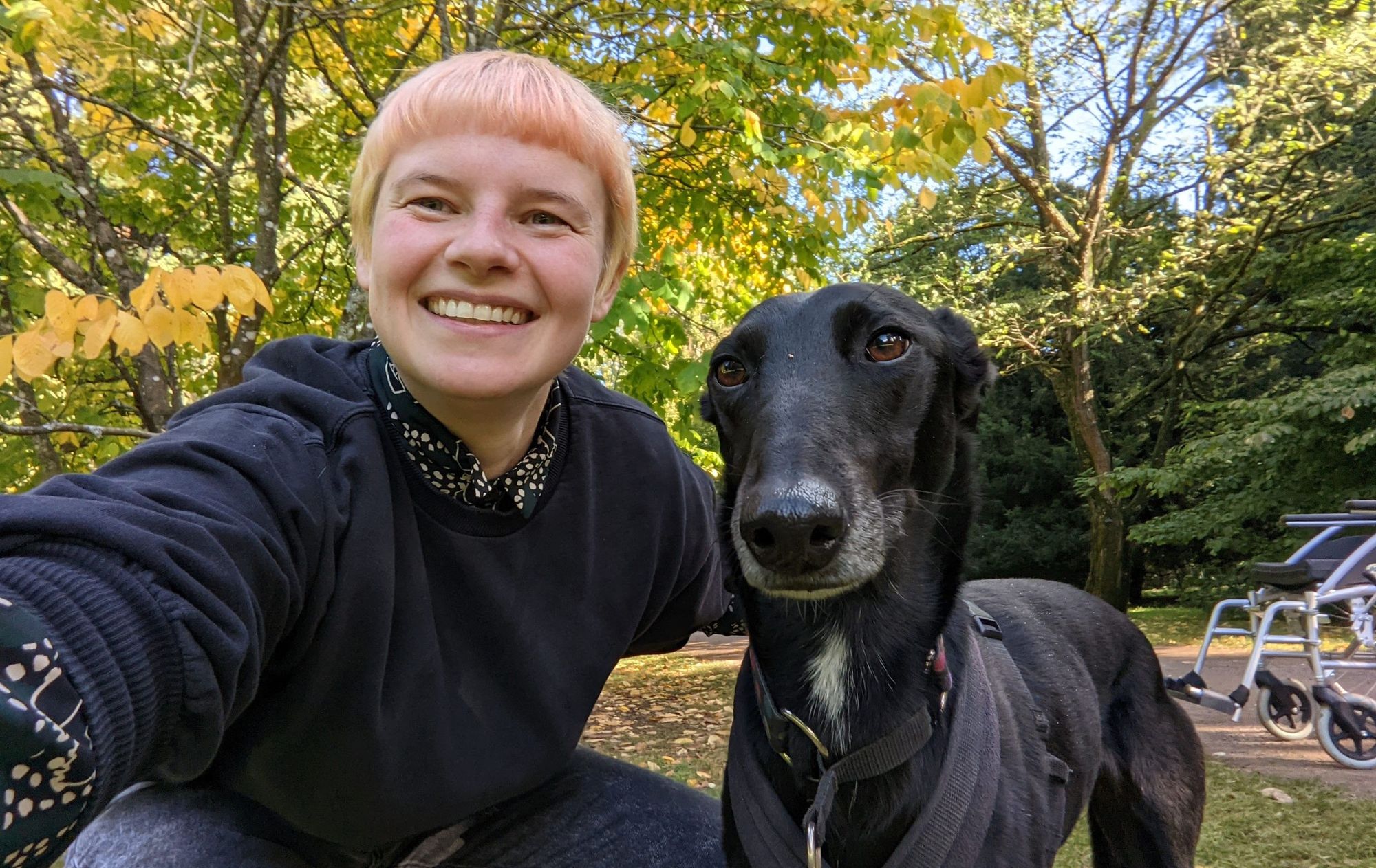 Greyhound owner relieved as miracle dog George recovers after falling down 60ft cliff