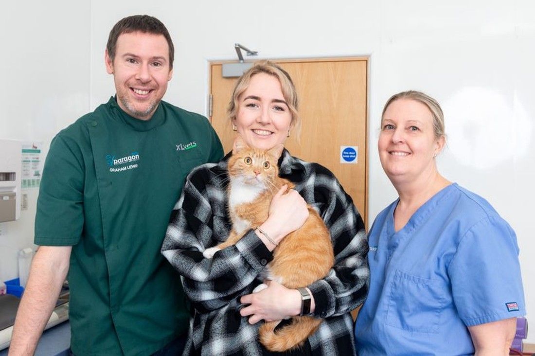 'Miracle' cat is virtually unscathed after three-storey fall