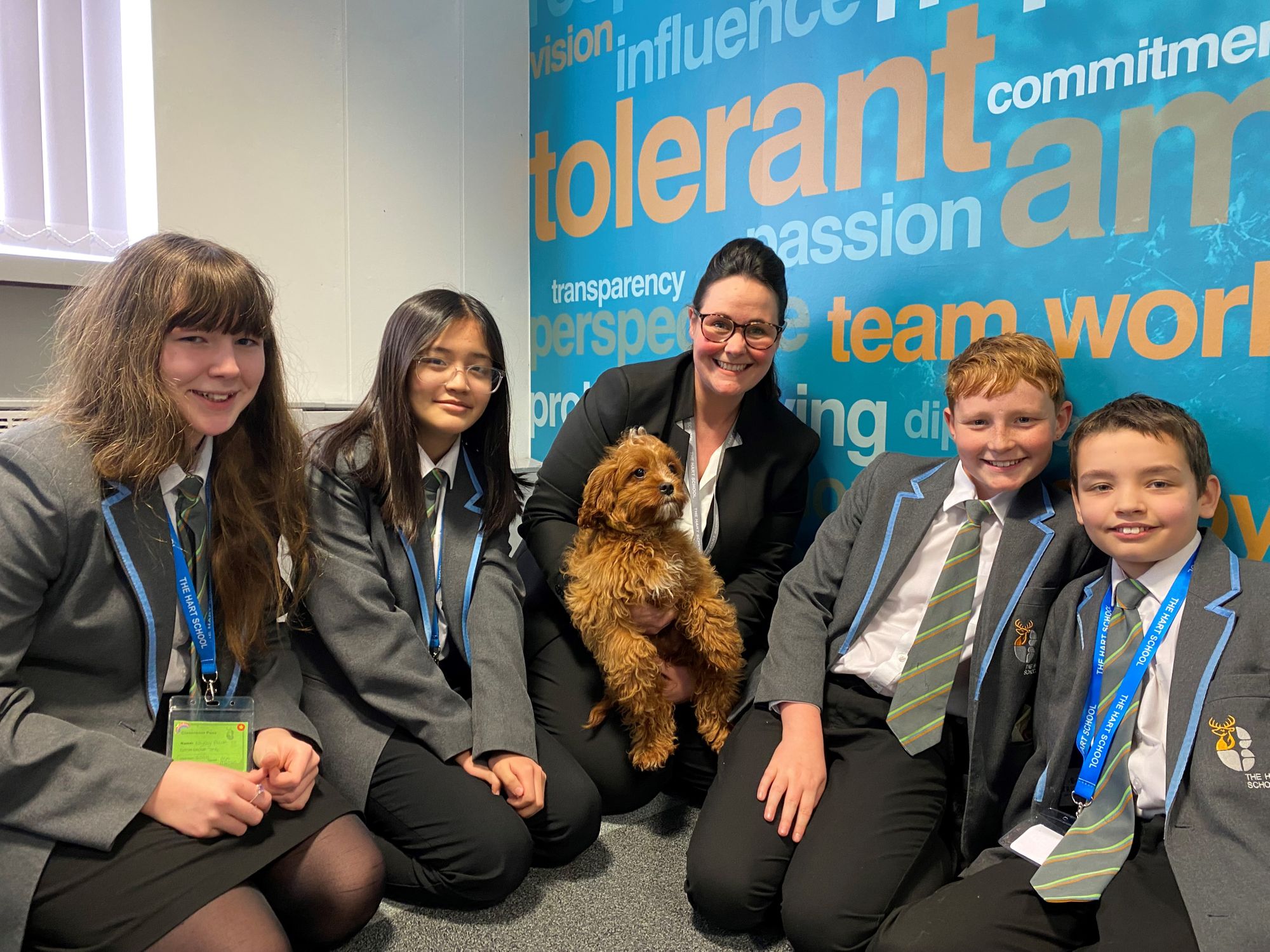 Meet Rufus the Rugeley school therapy dog