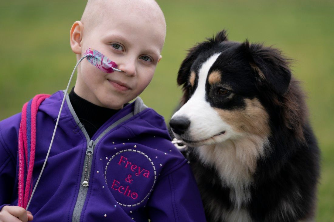 Eight-year-old girl battling cancer dazzles judges at Crufts: 'There wasn’t a dry eye, we were all crying'
