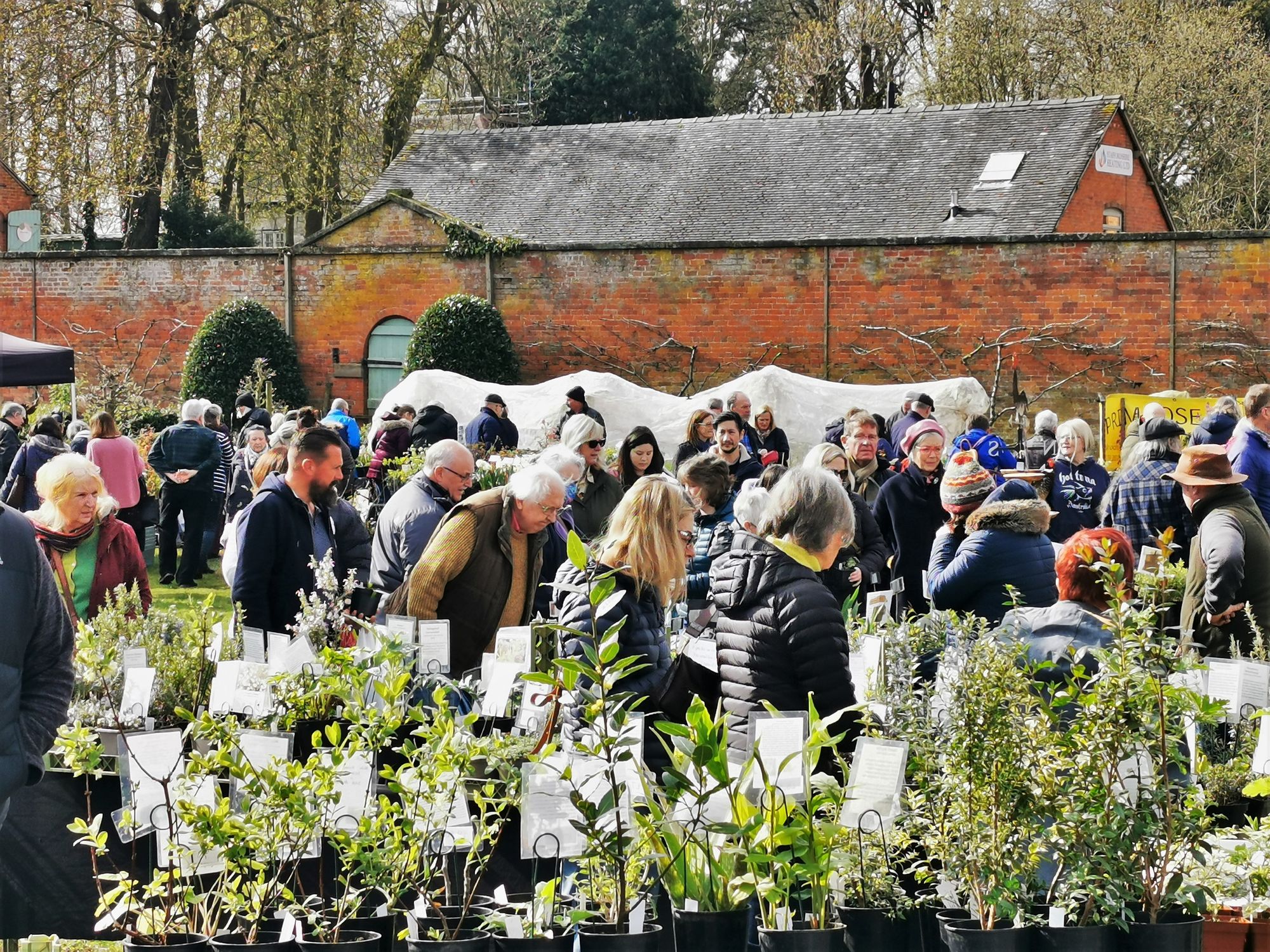 Spring Plant Fair returns to Sugnall Walled Garden for first event of the year