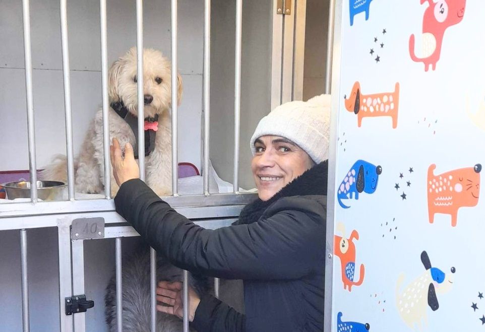 Peterborough woman turns animal rescue hobby into pet transport business