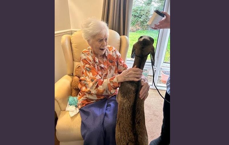 Farm animals bring back happy memories for Epsom residents