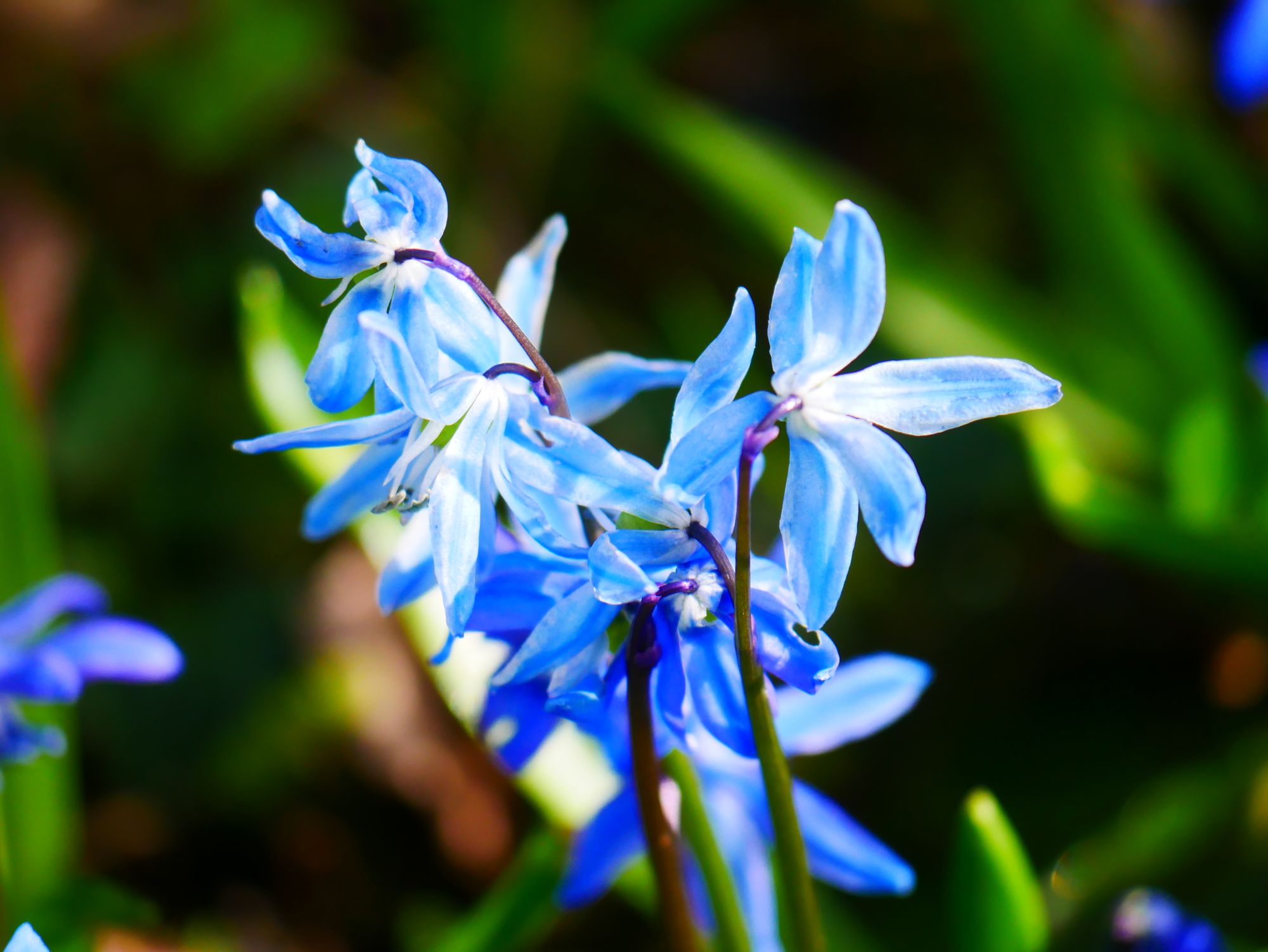 Scene By You Ormskirk - March 30: Pictures of West Lancashire captured by local photographers