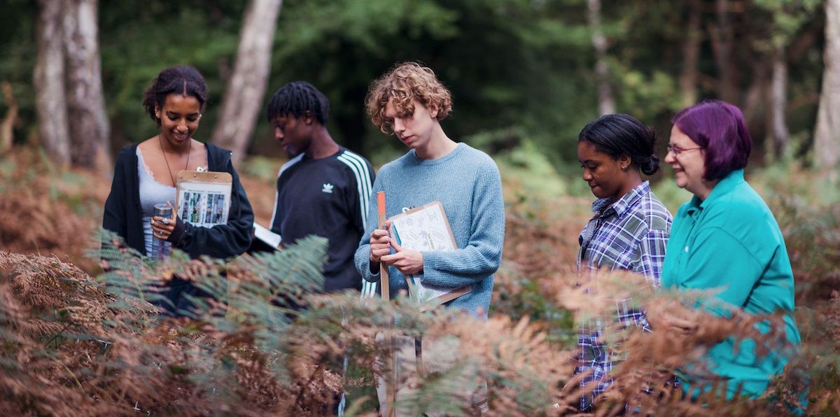 Free training courses and guides to bring trees into focus for Glasgow's young people