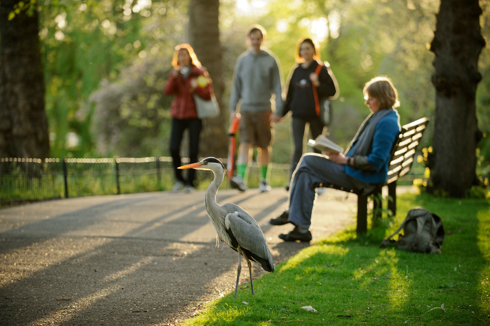 Wildlife Trust launches national nature survey