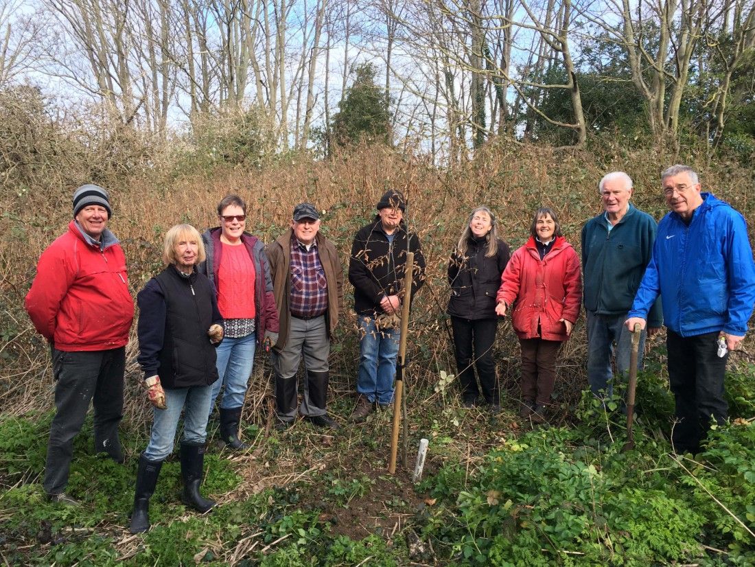 Volunteers plant 'Coronation Tree' in Ramsgate woodland