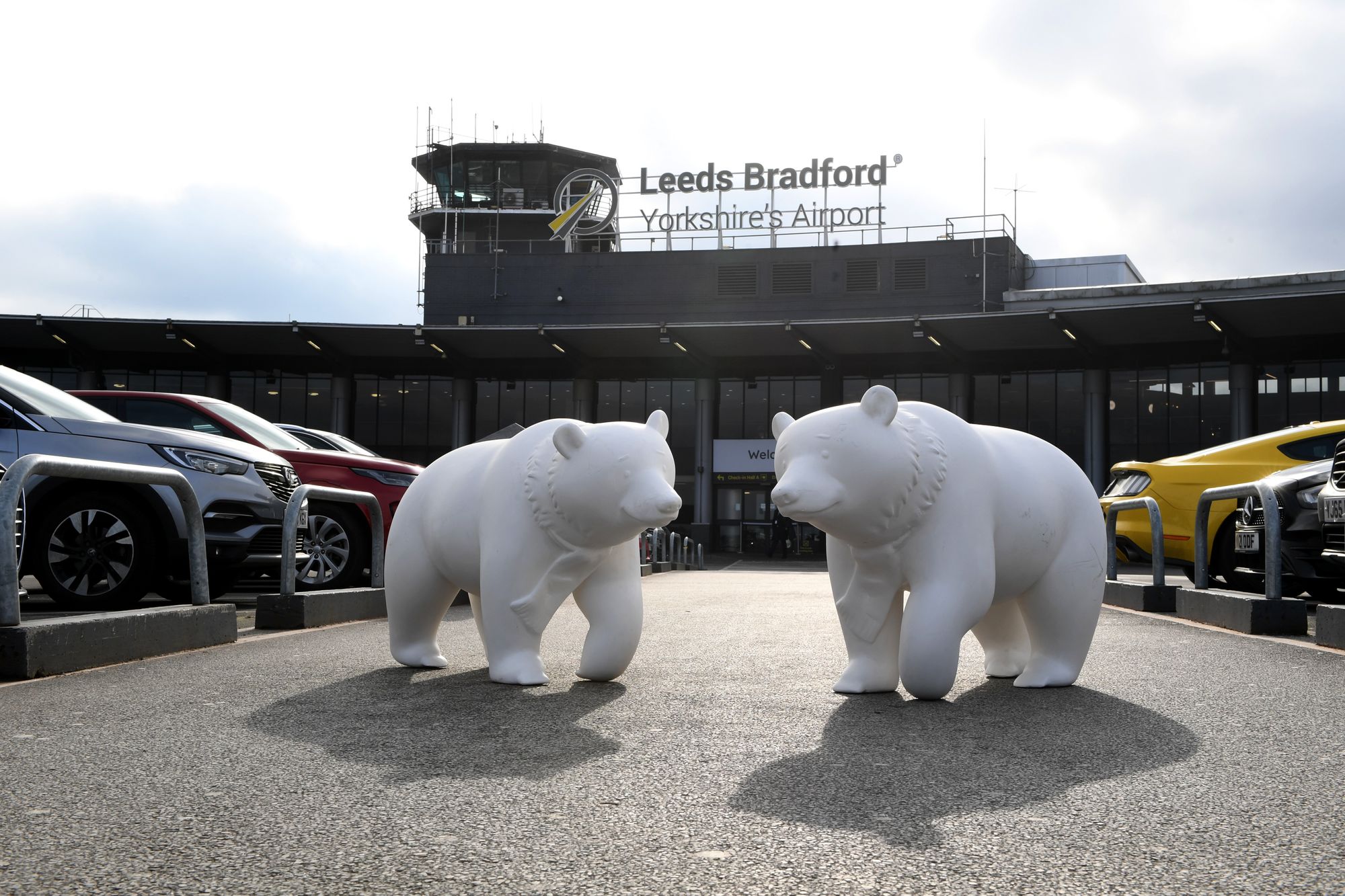 Giant bear sculptures arrive in Leeds ahead of public art trail this summer