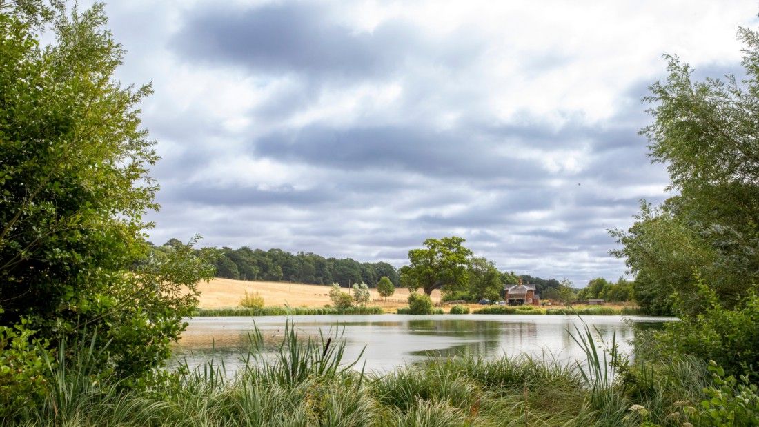 Welwyn 10k will follow scenic trails through Panshanger Park