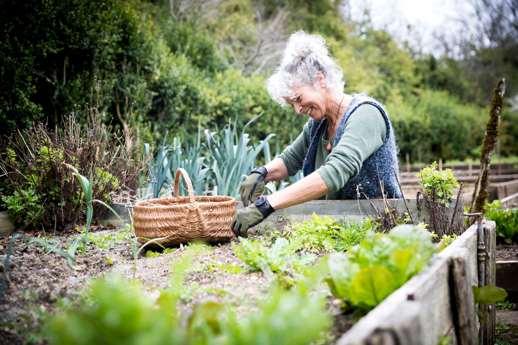 Get your garden ready for Spring with these six expert-recommended jobs