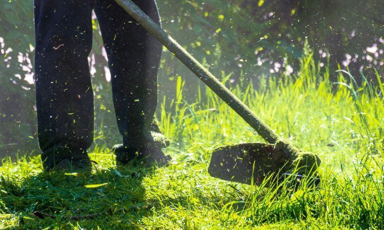 Grass-cutting plans for Caerphilly to promote biodiversity