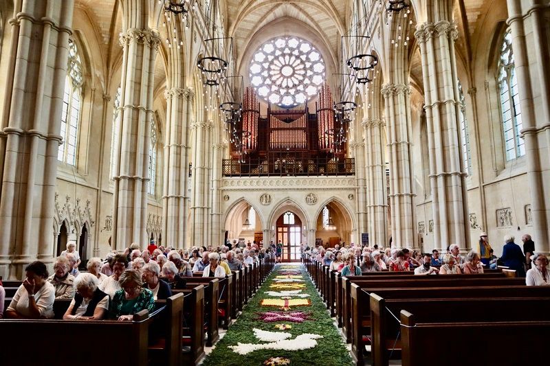 Magical 'carpet of flowers' planned for cathedral milestone